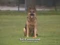 Distance  Voice Commands
