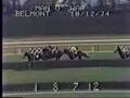 Dahlia - 1974 Man O' War Stakes