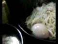 【ラーメンWalker】友蔵（千葉県）