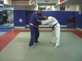 Yoko Tomoe Nage