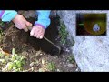 -|- Ricordando Palla di Neve -|- -|- Ricordando Palla di Neve -|-