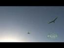 Fun Over Fort Funston