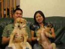 2006.11.23 Thu - Johnny & Julie Chen \ 2006.11.23 Thu - Johnny & Julie Chen \
