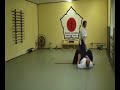 Shin Do Goshin Ryu Aiki Jitsu Shin Do Goshin Ryu Aiki Jitsu