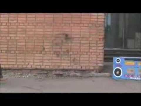 Просмотр видео
