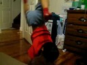 Handstand