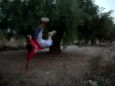 Aburrido + voltereta invertida
