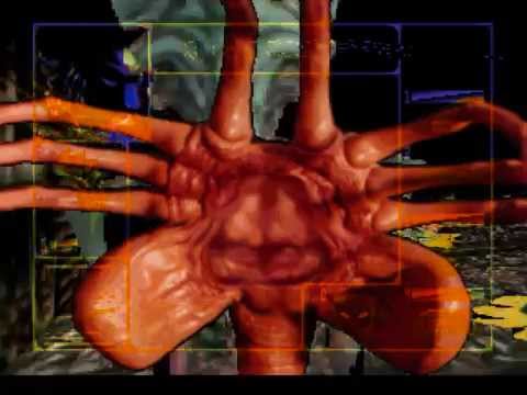 Predator queen