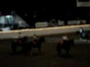 Equine Affaire\