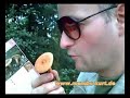 Mambo Kurt TV Pilze Mambo Kurt TV Pilze