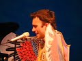Sufjan Stevens - The Predatory Wasp Of the Palisades