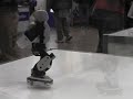 Plen Desktop Robot from Japan 2007???????