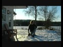 The Snowball Movie