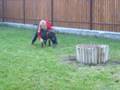 videos de Wedel w akcji