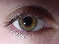 Understanding the Visually Impaired (Helping #3)
