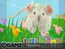My Newest Webkinz (read discription) My Newest Webkinz (read discription)