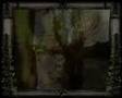 HELLVETO 'Taran' music video