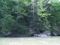 Recorded on May 17, 2008 using a Flip Video camcorder.
