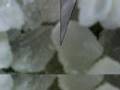Microworlds