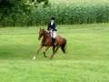 Waymark Classic