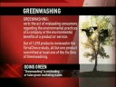 Going Green - TerraChoice on CBC Morning