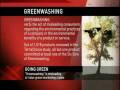 Going Green - TerraChoice on CBC Morning