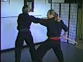 Seicho Jutsu Cane Hanbo