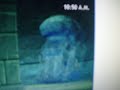 the dancing golem the dancing golem