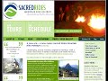 keys to a sucessful online travel site :convert shop to buy
