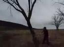 Mancamp / A.N.B.W 2008