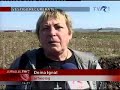 TVR-descoperire-arhe