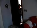 puta cara burro