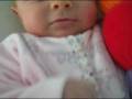 videos de Vivian 's catepillar