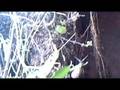 videos de Riddings Brook Culvert Kidder Rd Unblocked 9.10.08