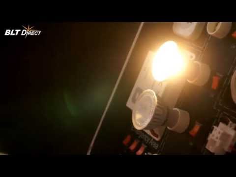 Megaman (Modo) 4.5W LED GU10 (Warm White & Daylight Comparison)