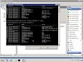 Live Migration Networks 2/2