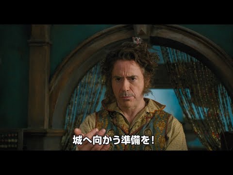 動画