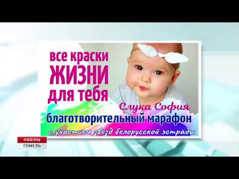 Звезды эстрады прибудут в Гомель на благотворительный марафон видео