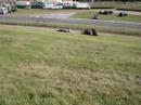 paul n pauly rolling down big hill paul n pauly rolling down big hill