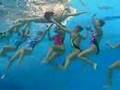 Synchronized Swimming-USA Team, 2007 Fina World Championship