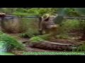 super videos divertidos 2