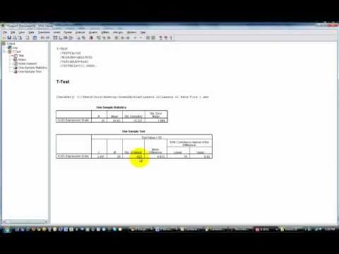 how to one sample t test spss