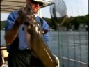 Catfish Contest Catfish Contest