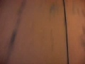 ~GS~TATSU: Fly At The Speed Of Fear!!! - Thumb #2