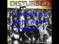 disturbed land confusion