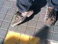 videos de 19112008