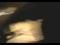 red panda warriors prostitutio temporum part 1