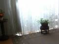 Cleaning of an air-conditioner