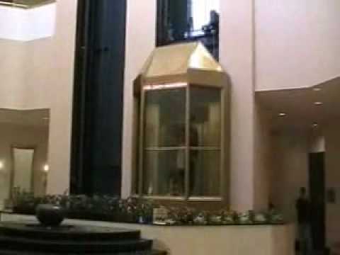 peabody ducks