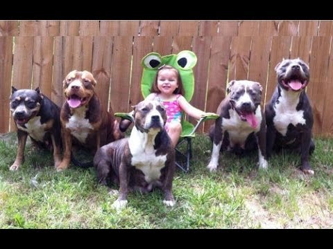 how to control your 2 yr old